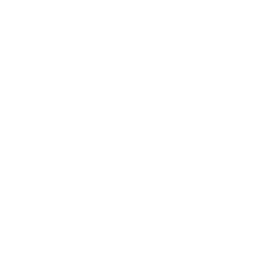 Diagnostic Test and Interview