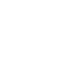 Payment of School Fees